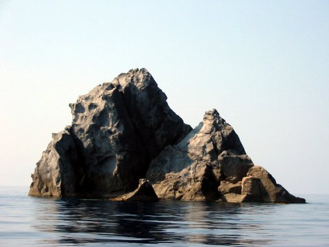 Stenelle